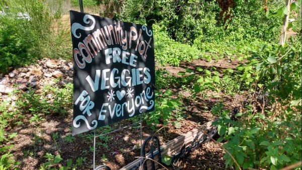 Cultivating Health through Community Gardens